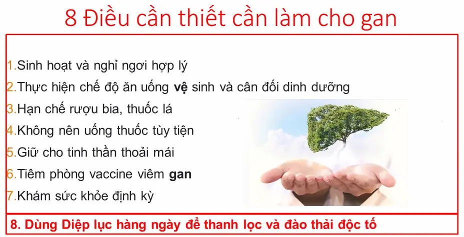 8 điều cần thiết làm cho gan - Dùng Diệp lục mỗi ngày để thanh lọc và đào thải độc tố