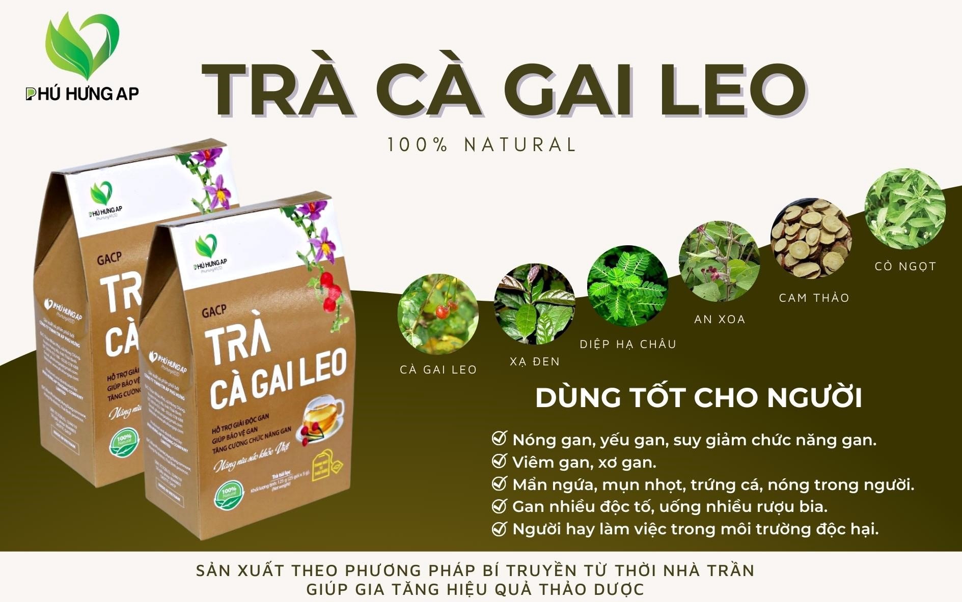 Trà Cà Gai Leo hỗ trợ chức năng gan