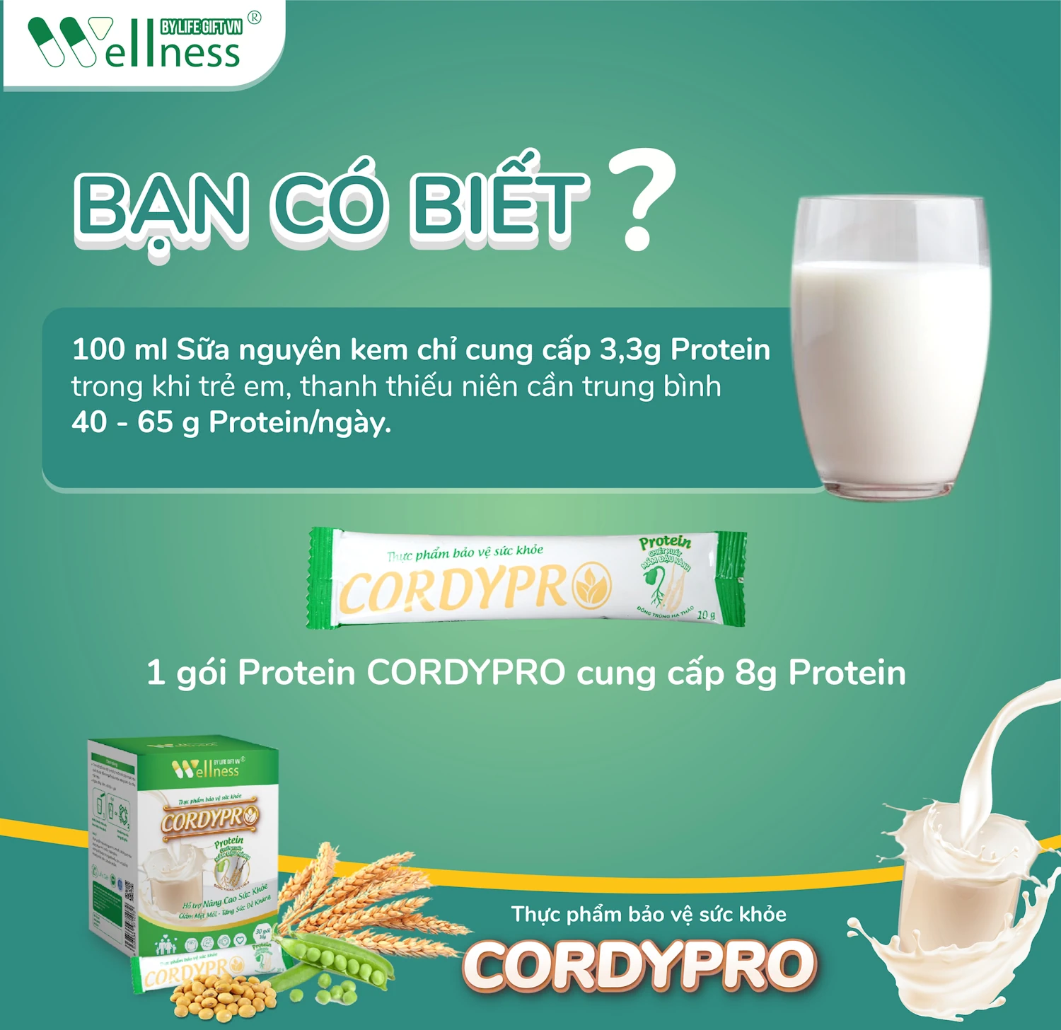 Bạn Có Biết Lượng Protein Có Trong 100ml Sữa Nguyên Kem Là Bao Nhiêu