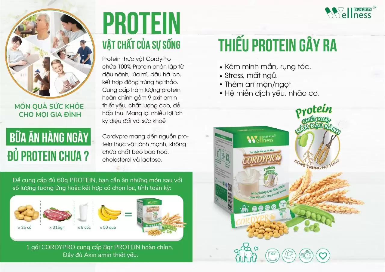 Bữa ăn Thông Thường đã đủ Protein Chưa