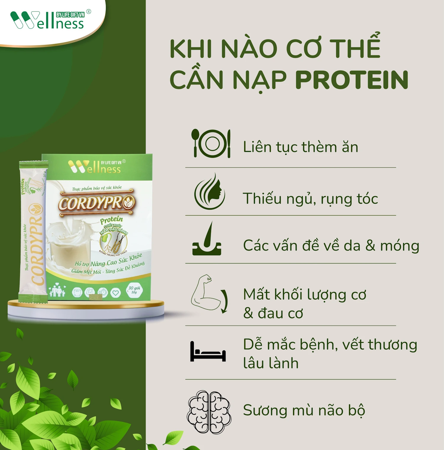 Khi Nào Cơ Thể Cần Nạp Protein