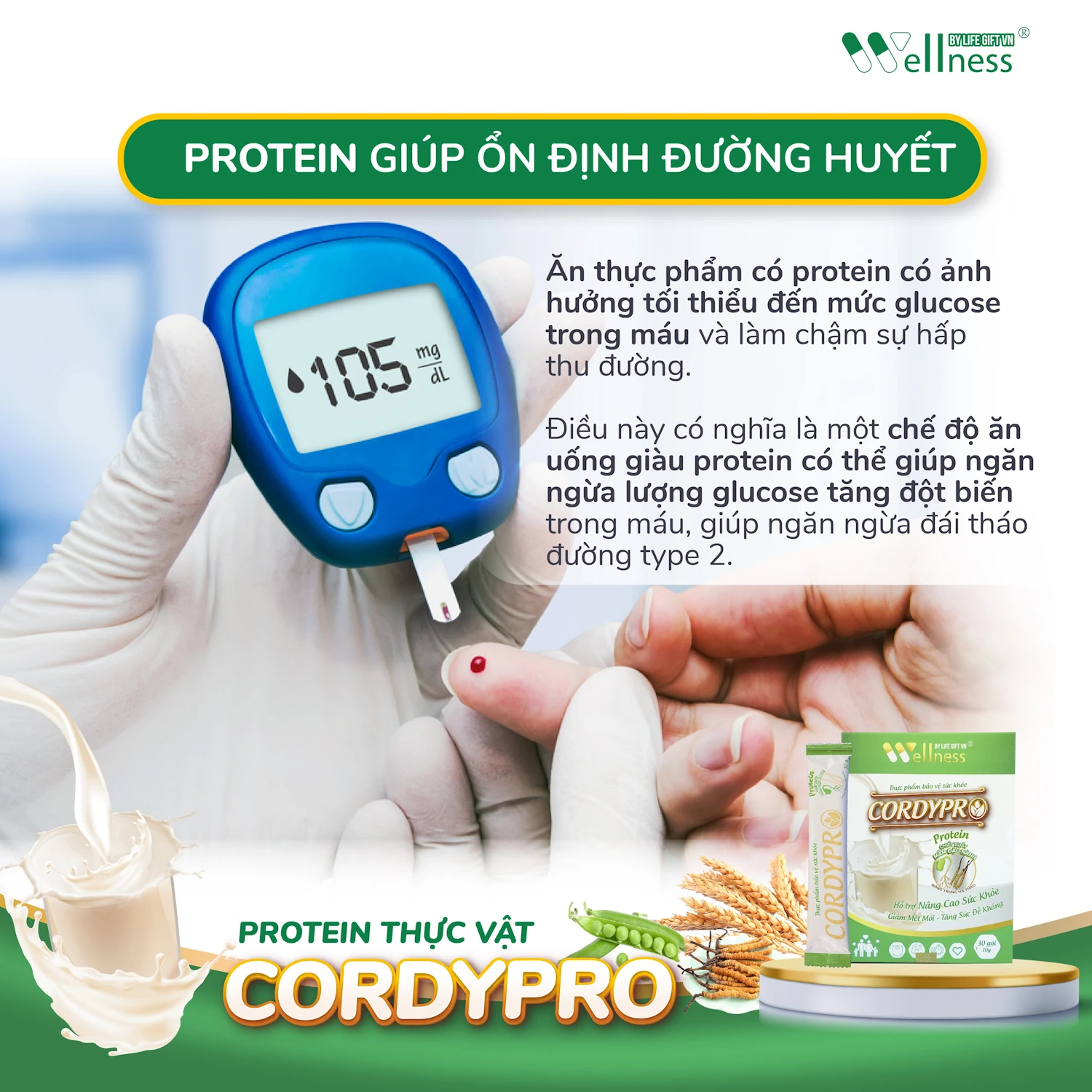 Protein Giúp ổn đinh đường Huyết