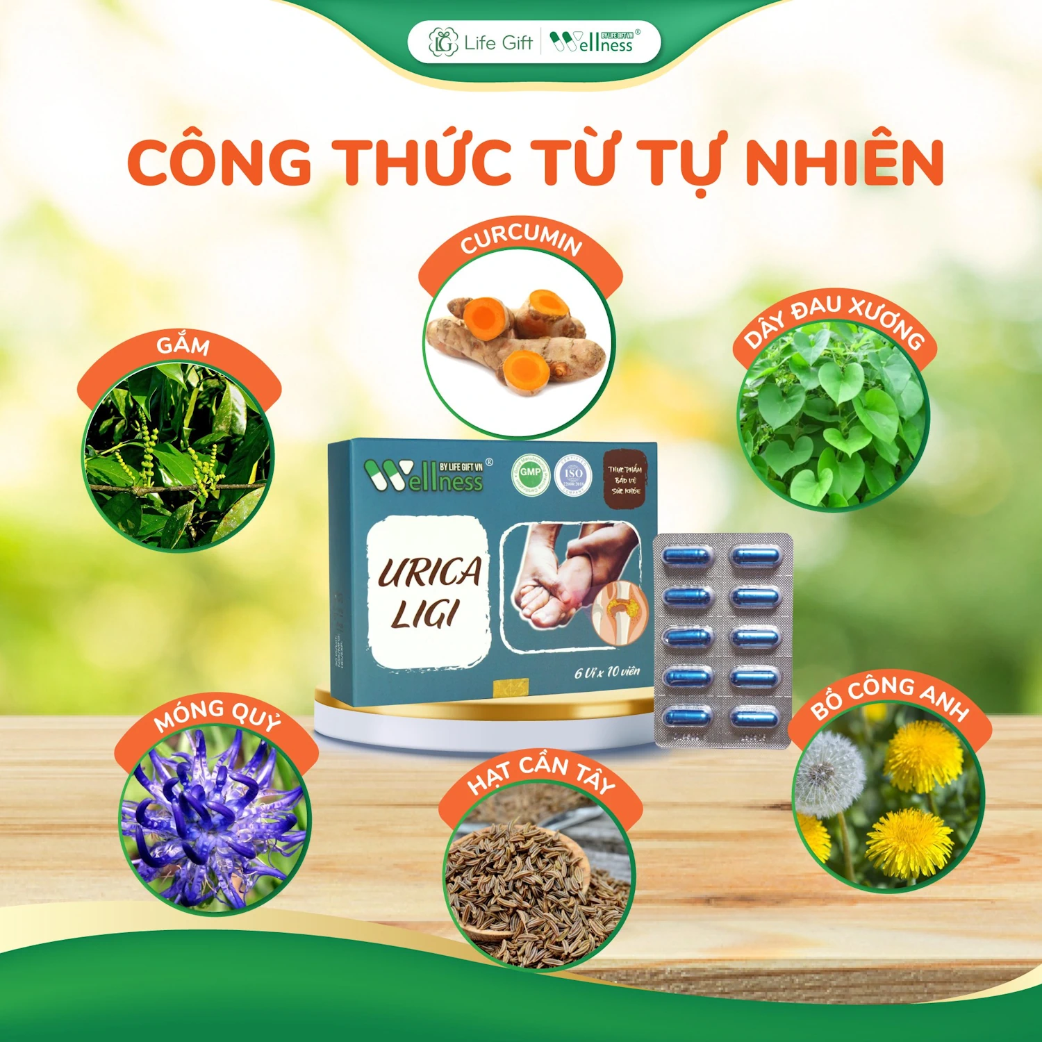 Thành Phần Từ Các Loại Thảo Mộc Tự Nhiên Trong Thực Phẩm Hỗ Trợ Bệnh Gout Urica Ligi