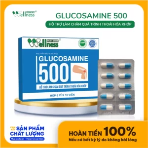 Thực Phẩm Làm Chậm Thoái Hóa Khớp Glucosamine 500 Life Gift - Droppii Mall