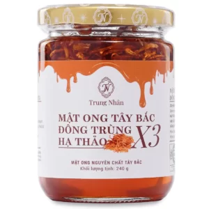 Mật ong Tây Bắc Đông Trùng Hạ Thảo X3 Trung Nhân (240gr) chính hãng giá tốt - Droppii Mall