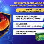 3 Ưu ĐiỂm CỦa BÀo TỬ LỢi KhuẨn Intest Spo Nsg