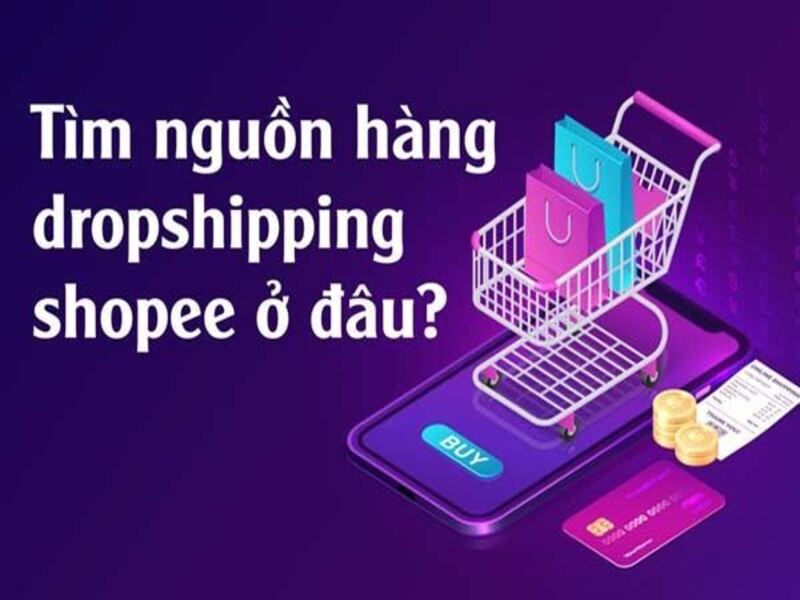 goi y cac cach tim nguon hang dropshipping dang pho bien tren mang 2023 2288