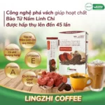 Cà Phê Linh Chi Với Công Nghệ Phá Vách Giúp Hoạt Chất Bào Tử Nấm Linh Chi được Hấp Thu Lên đến 45 Lần