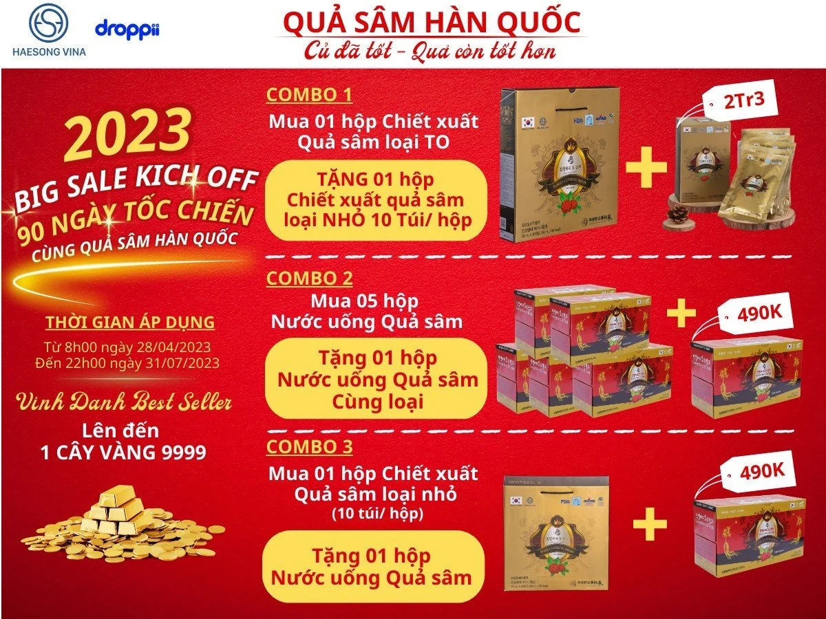 Khuyến mãi Chiết xuất Quả nhân sâm Hàn Quốc và Nước uống Quả nhân sâm Haesong Vina chính hãng giá tốt - Droppii Mall