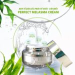 kem nc3a1m dc6b0e1bba1ng sc3a1ng perfect melasma cream 510x510 1