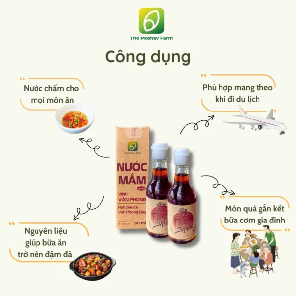 Công Dụng Của Nước Mắm Vịnh Vân Phong Chai Mini 60ml - The Moshav Farm - Droppii Mall