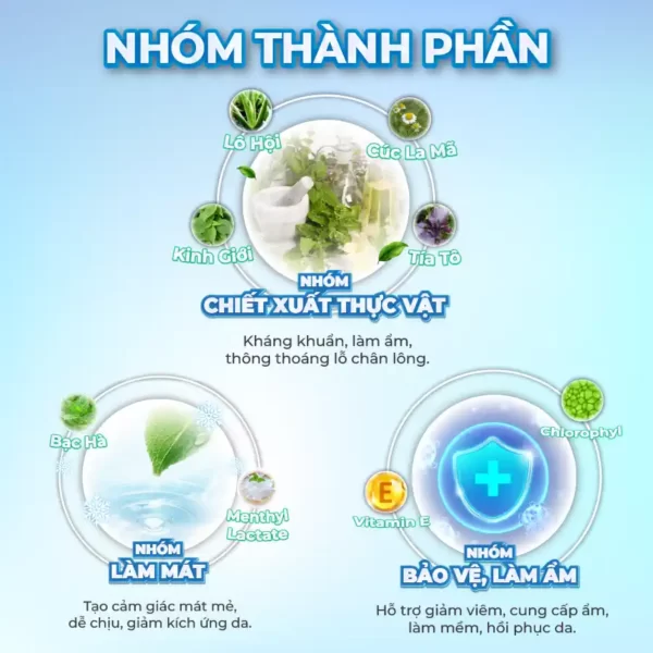 Nhóm Thành Phần Của Khăn Lau Hạ Sốt Trẻ Em Baby Hạ Sốt Pharphap - Jp Natural - Droppii Mall