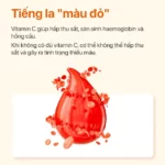 Thiếu Vitamin C Gây Thiếu Máu - Ester C