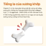 Thiếu Vitamin C Góp Phần Gây Loãng Xương - Ester C