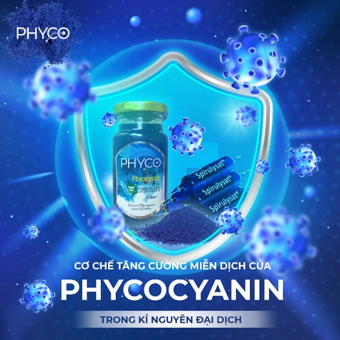 Cơ Chế Tăng Cường Miễn Dịch Của Phycocyanin Trong Kỉ Nguyên đại Dịch - Phycocyanin Spirulysat Cuivre - Droppii Mall