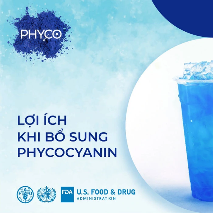 Lợi ích Khi Bổ Sung Thực Phẩm Bổ Sung Phycocyanin Spirulisat Cuivre