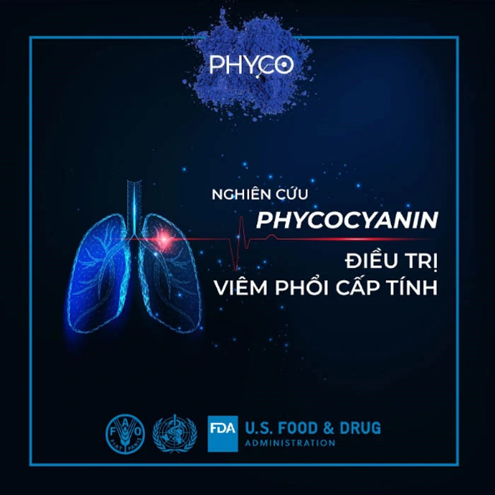 Nghiên Cứu Phycocyanin điều Trị Viêm Phổi Cấp Tính - Phycocyanin Spirulysat Cuivre - Droppii Mall