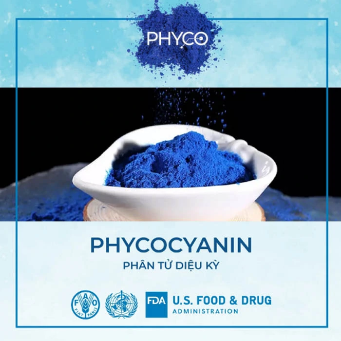 Phân Tử Diệu Kỳ Phycocyanin - Phycocyanin Spirulysat Cuivre - Droppii Mall