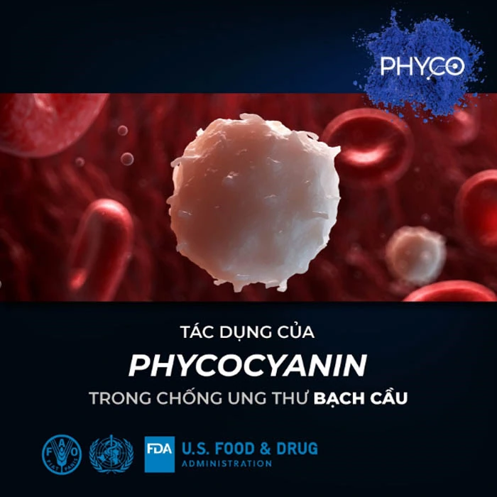 Tác Dụng Của Phycocyanin Trong Chống Ung Thư Bạch Cầu - Phycocyanin Spirulysat Cuivre - Droppii Mall