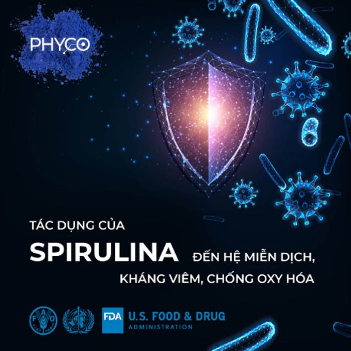 Tác Dụng Của Spirulina đến Hệ Miễn Dịch, Kháng Viêm, Chống Oxy Hoá - Phycocyanin Spirulysat Cuivre - Droppii Mall