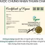 Chứng Nhận Thuần Chay Của Kem Dưỡng Phục Hồi Da Beyond Angel Aqua Cica Cream Vegan Formula - Droppii Mall