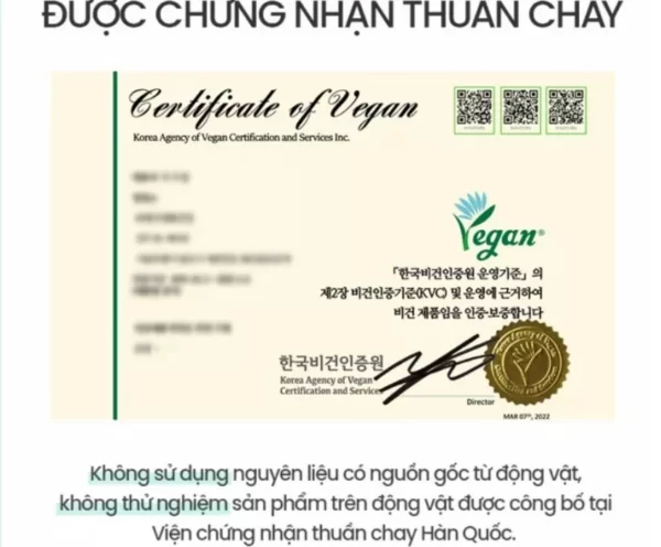 Chứng Nhận Thuần Chay Của Kem Dưỡng Phục Hồi Da Beyond Angel Aqua Cica Cream Vegan Formula - Droppii Mall