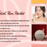 Công Dụng Phấn Phủ Kiềm Dầu C'choi Velvet Film Powder Foundation - Punar - Droppii Mall