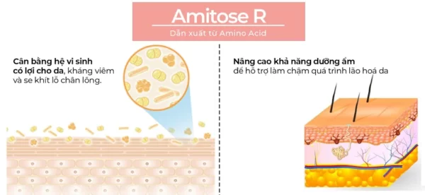 Dẫn Xuất Từ Amino Acid Amitose R Trong Phấn Nước C'choi Herbal Dd Cushion