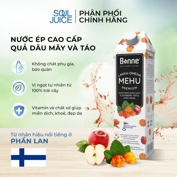 Nước ép Dâu Mây Và Táo Bonne Cao Cấp 1 Lít - Droppii Mall