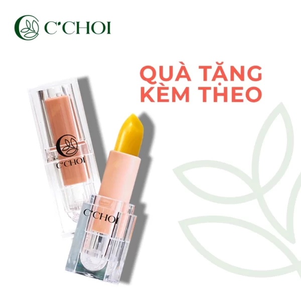 Quà Tặng Kèm Khi Mua Combo Trang điểm Cơ Bản 1 - C'choi - Punar - Droppii Mall