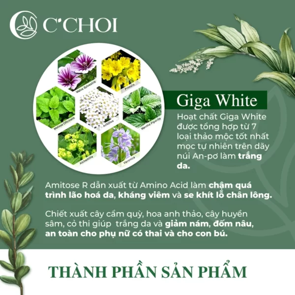 Thành Phần Và Công Dụng Của Phấn Nước C'choi Herbal Dd Cushion