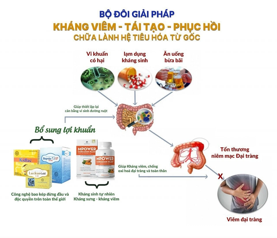 Bộ đội Giải Pháp Kháng Viêm, Tái Tạo, Phục Hồi Chữa Lành Hệ Tiêu Hóa Khỏe Mạnh Từ Gốc