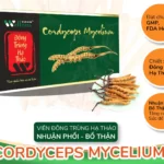 Đông Trùng Hạ Thảo Cordycops Mycelium - Nhuận Phổi Bổ Phổi