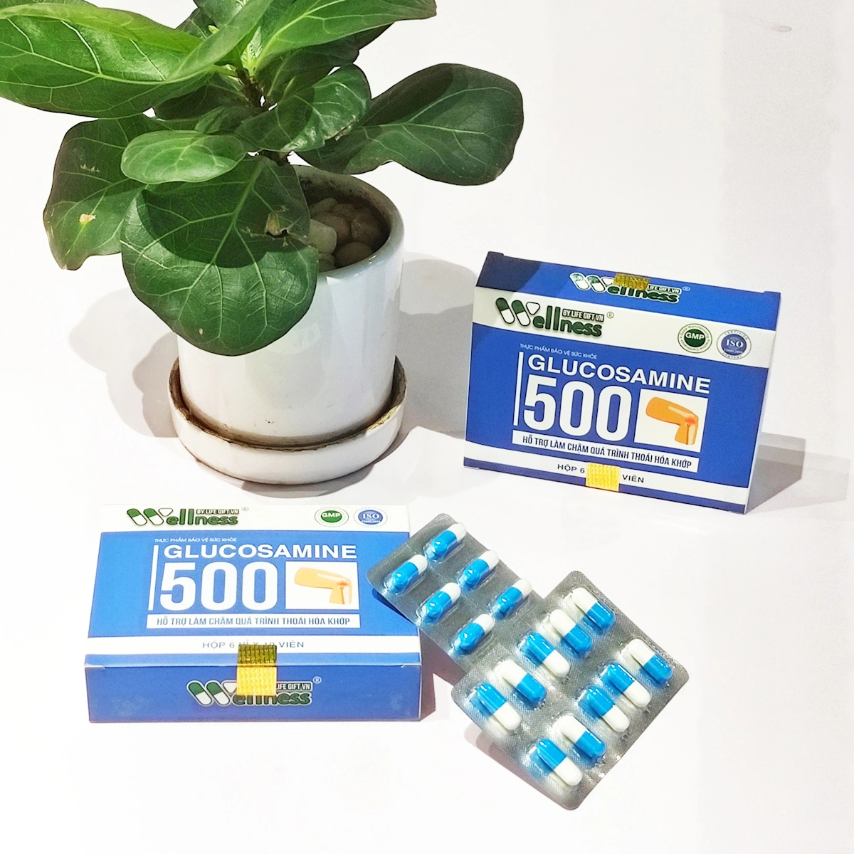 Glucosamine 500 - Hỗ Trợ Khớp - Wellness By Life Gift Vn - Droppii Mall