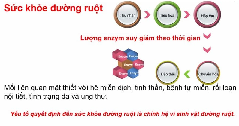 Nguyên Nhân Thiếu Cân Dù ăn Nhiều