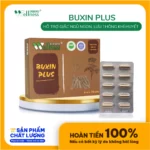 Thực Phẩm Bổ Khí Huyết Buxin Plus - Droppii Mall