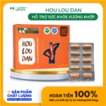 Thực Phẩm Giảm đau Xương Khớp Hou Lou Dan - Droppii Mall