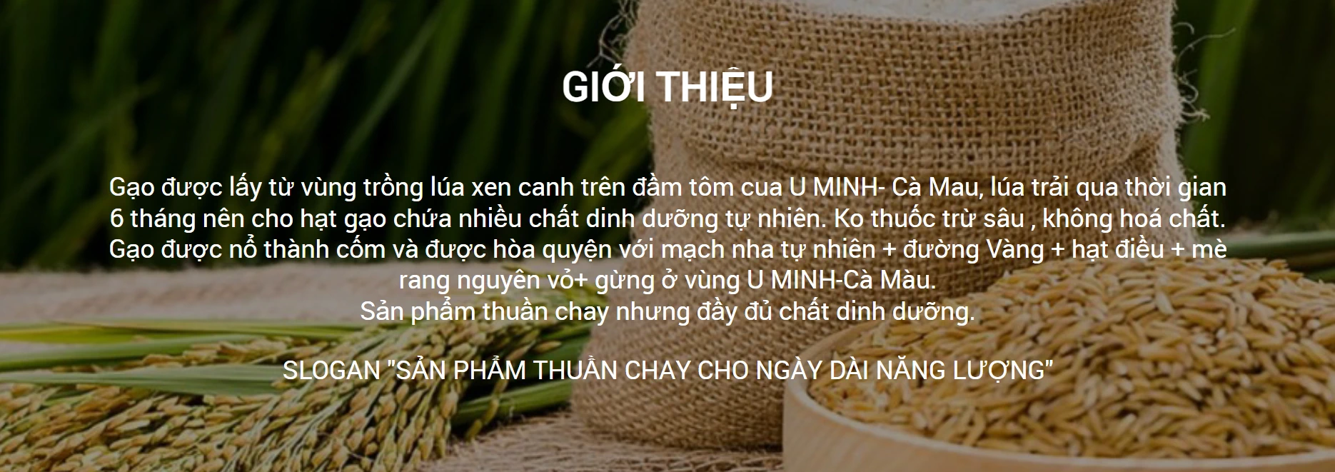 Thương Hiệu Bibo - Bánh Cốm Gạo Thuần Chay Cho Ngày Dài Năng Lượng