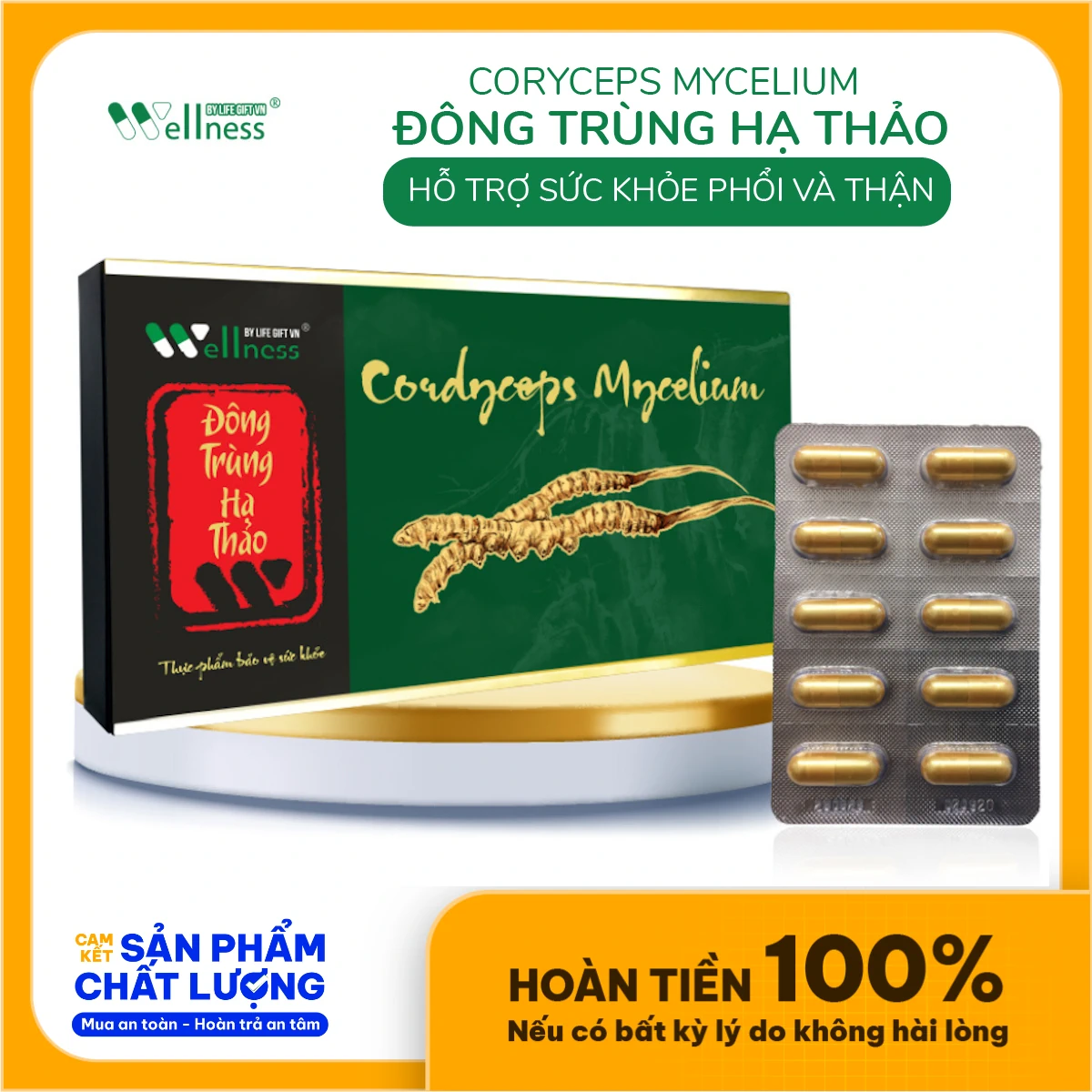 Viên đông Trùng Hạ Thảo Nhuận Phổi, Bổ Thận Cordyceps Mycelium - Droppii Mall